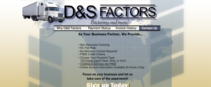 Website design and Flash for D and S Factors